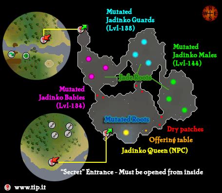 mutated jadinkos rs3|Mutated jadinko guard .
